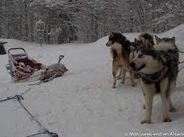 Nous proposons des sorties en « nordikart » (hors neige ) ou en traîneau ( avec neige ) tiré par nos chiens nordiques !. Bapteme De Chiens De Traineau Au Schnepfenried Avec Reve De Nord Mon Week End En Alsace