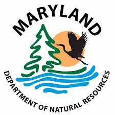 Maryland Is Closing Oyster Harvesting Season Delaware Surf