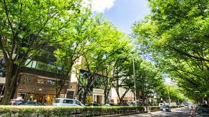 Aoyama & Omotesando area travel guide | The Official Tokyo Travel Guide, GO  TOKYO