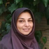 300+ 'Meshkat' profiles