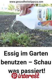 Pin Auf Garten