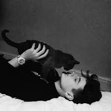 Epingle Par Ponyo Sur Cats Photo Mec Mecs Mignons Idee Photo Insta