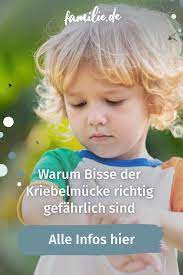 kriebelmucke diese gefahrliche mucke konnte man leicht mit einer fliege verwechseln familie de zahne kleinkind mundpflege kinderkrankheiten