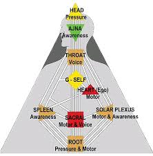 Astrological Counsel Astro Type Style Human Design Centers