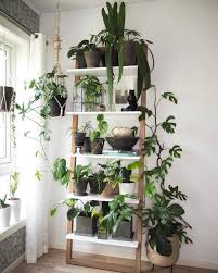 My Plant Shelf Gets Greener Every Day Bedroom Plants Plant Shelves Indoor Plant Shelves