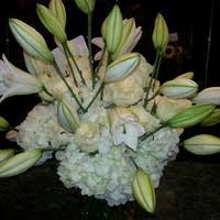9:00 am to 4:00 pm tuesday: Carey Messineo Owner Manager Flowers By Donna Carey Llc Linkedin