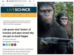 Best 30 War For The Planet Of The Apes Fun On 9gag