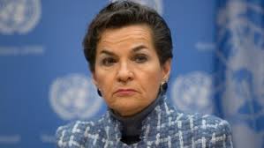 معظم المستنقعات المالحة في العالم محتمل أن تكون تحت الماء بحلول 2100