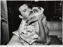 Freddie mercury is the ultimate rock god; Freddie Mercury Person National Portrait Gallery