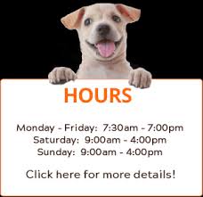Advanced diagnostic and therapeutic services are provided by specialists with extensive experience in their respective discipline. Victoria Veterinary Clinic Vet Clinic In Regina Sk