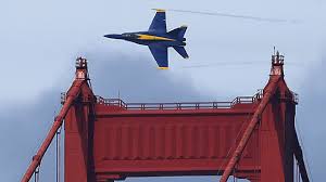 Image result for Blu By You 2018 Fleet