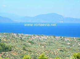 Ο πληθυσμός του, σύμφωνα με την απογραφή του 2011, ανέρχεται σε 392 κατοίκους. Artemisio Xwrio Ths Boreias Eyboias