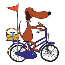 Afbeeldingsresultaat voor de fiets