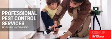 Through awareness and embracing a treatment program with pure solutions' routine tick spray solution, you can eliminate tick populations. Pest Control Cape Cod Cape Cod Pest Pros