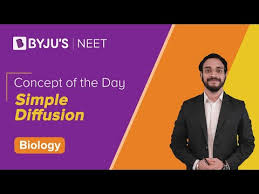 Apr 28, 2017 · simple diffusion definition. Simple Diffusion Definition Diffusion Mechanism Example Facilitated Diffusion Osmosis Active Transport