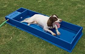 Cooling Dog Pool Fills Its Self And Won T Overfill This Is Cool Their Website Doesnt Work But I Will Find This Somewher Dog Pool Dog Playground Dog Swimming