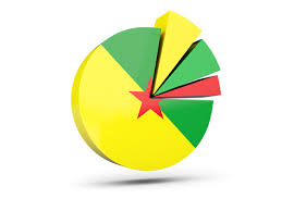 pie chart with slices illustration of flag of french guiana