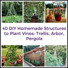 Grapes also work well on a trellis. 40 Diy Homemade Structures To Plant Vines Trellis Arbor Pergola
