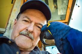 Sunset 'spin' in Semiahmoo.