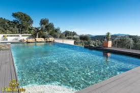 Epingle Par Agence De L Oliveraie Prestige Sur Maison De Luxe Bandol Maison De Luxe Piscine A Debordement Villa
