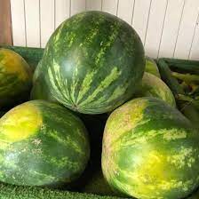 Maybe you would like to learn more about one of these? Produce Pete A Wealth Of Watermelon New Jersey Monthly
