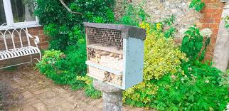 Hi, i want to make this insect hotel but i don't know how to make the wood go in a circle without breaking? How To Make An Insect Hotel From An Old Drawer The Carpenter S Daughter