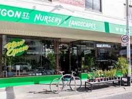 Lygon street is best known for being melbourne's little italy. these days, the city end is more asian than italian the restaurants are suffering in the lockdown. Lygon St Nursery Concrete Playground Concrete Playground Melbourne