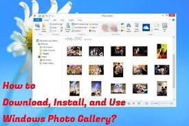 How To Download Install And Use Windows Photo Gallery Photo Installation Photo Galleries