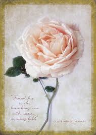Maybe you would like to learn more about one of these? Beautiful Rose Happy Birthday Friend Greeting Card Greeting Card For Sale By Louise Kumpf