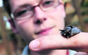 Four-eyed snail could be one of a kind
