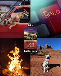 Profile for EarthWise Pet Supply & Grooming Liberty