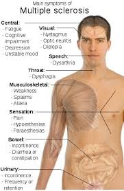 Multiple Sclerosis Definition And Symptoms Multiple Sclerosis Multiple Sclerosis Awareness Medical