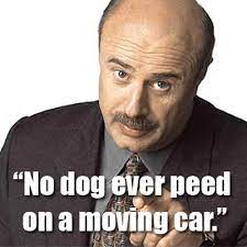 Dr Phil Quotes On Divorce Quotesgram