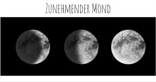 Der mondkalender zeigt, wann das haare schneiden, färben oder waschen anhand der mondphasen empfohlen ist. Haareschneiden Nach Dem Mondkalender Wie Geht Das