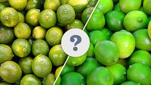 Apple skin does indeed have lots of phytonutrients. Limes And Key Limes What Is The Difference