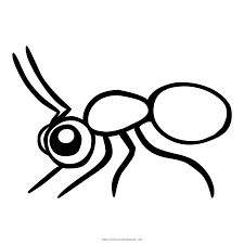 They live together in colonies, where they busily work together to feed and protect their queen and larva. Ant Coloring Page Ultra Coloring Pages