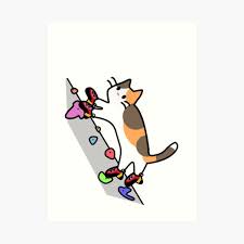 See more ideas about cat puns, crazy cats, cats. Cat Pun Wall Art Redbubble