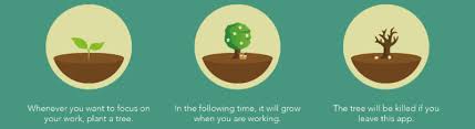Life cycle of a tree: 4 Apps To Help You Stop Procrastinating And Get Back To Work