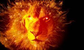 Fire High Resolution Wallpapers Widescreen Fire Lion Lion Pictures Lion Face