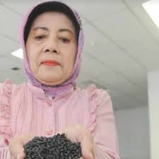 Kedelai Hitam Malika, Kedelai Berkualitas Asli Indonesia