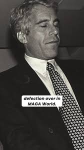 Liz Cheney/Adam Kinzinger Against Trump