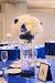 Quince Royal Blue And Gold Decorations