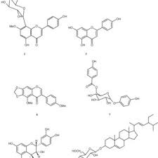 Image result for Rhabdophyllum affine