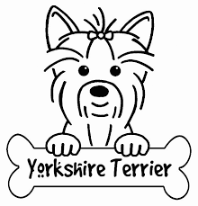 Can you give it some color? Yorkie Coloring Pages Best Coloring Pages For Kids