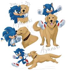 It S Better Than Tinder Sonic The Movie Sonic Hedgehog Movie