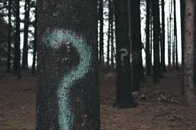 Tim merupakan aset awal yang dimiliki oleh sebuah startup. Nice Delapan Kunci Jawaban Pertanyaan Investor Pada Startup Founder By Jume Analyes Djume Medium