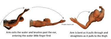 How to swim backstroke is your perfect guidebook, with over 20 simple exercises containing top tips and key coaching points. Backstroke Arms A Beginners Guide To Two Different Techniques