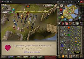 osrs best ways to grind pest control (void armor). 99 Hp And Maxed Def Pure At 50 Combat 2007scape
