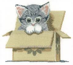 There are hundreds of themes, sizes and styles to choose from. Buy Cat In Box Cross Stitch Kit Online At Sewandso Co Uk Cross Stitch Animals Cat Cross Stitch Pattern Cross Stitch