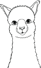Alpaca Coloring Pages Alpaca Drawing Coloring Page Cute Alpaca Coloring Pages Llama Coloring Page Free Colori Alpaca Drawing Animal Coloring Pages Llama Face